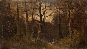 Path through a Wood