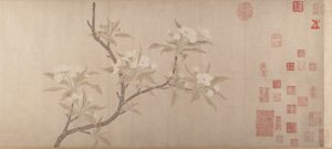 Pear Blossoms