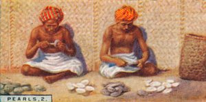 Pearls, 2. - Opening the Oysters, Ceylon