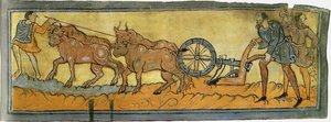 Peasants ploughing Miniature from the Cotton MS Tiberius, 11th century