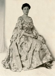 Photograph of a Kincob Brocade, with Silk Embroidered Stomacher by Unbekannt