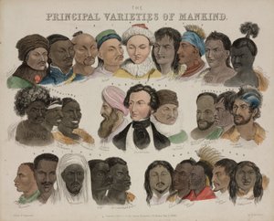 Physiognomy 