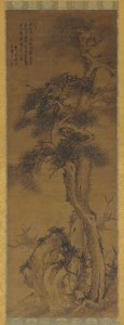 Pines, Rock, and Bamboo