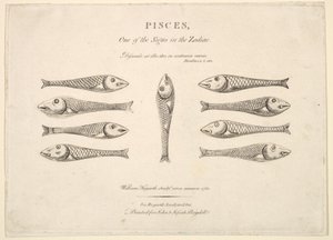 Pisces: Hogarth
