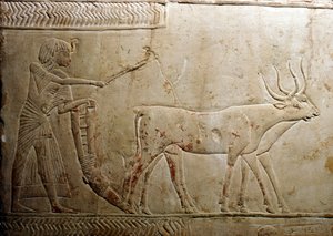 Ploughing from an Egyptian Stele, 18th Dynasty