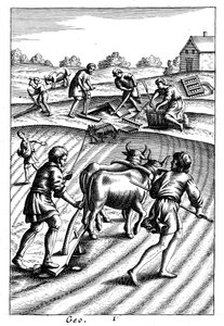 Ploughing with oxen, sowing seed broadcast and harrowing by Unbekannt