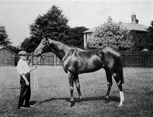 Polar Star, 1911