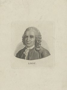 Portrait of Carl Linnaeus 1707-1778, c. 1780