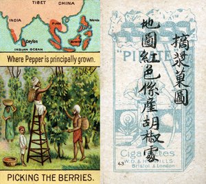 Principal areas for the production of pepper, from the series of 