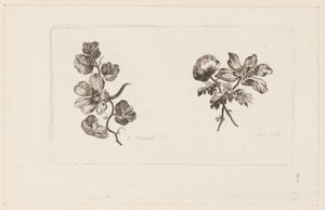 Print
