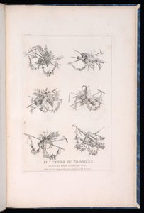 Print by Unbekannt