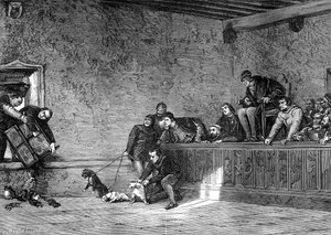 Rat Fighting, Recreation of Louis XI of France by Unbekannt