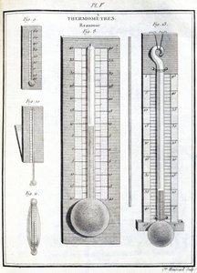Reaumur Thermometers by Unbekannt