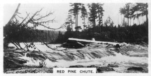 Red Pine Chute, Canada, c1920s by Unbekannt
