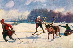 Reindeer sledge ride in Sweden