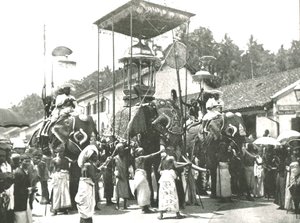 Religious Procession, Colombo, Ceylon by Unbekannt