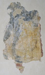 Remains of a Quadruped