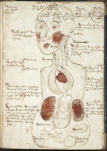 Representation of an Aristotelian Theory of Consciousness From: De corpore et anima