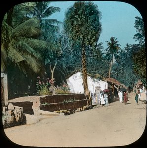 Road from Colombo to Galle, Colombo, Ceylon