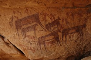 Rock art, Prehistory: Rock painting of a group of cattle including a knees and a group of characters including archers in an ornate shelter, in the Uweinat massif, Sudan (Karkur-Talh or Karkur Talh). Period from 8000 to 3000 years BC