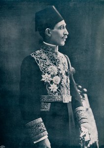 Sadek Wahba Pasha, Egyptian Diplomat