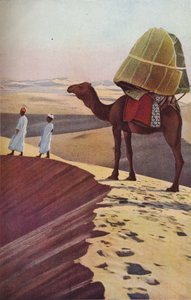 Sahara