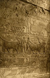 Saqqara - Tomb of Ptahotep - Mural Decoration, c1918-c1939 by Unbekannt