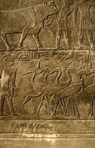Saqqara - Tomb of Ti Mural Paintings by Unbekannt