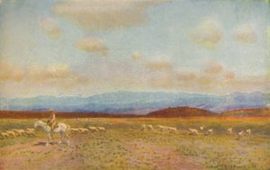 Scene in the Australian Middle Lowlands