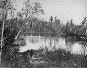 Scene on Peshtigo River, Wisconsin