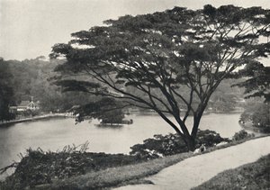 Temple of the Sacred Tooth and Library in Kandy, Seen from Victoria Drive to the East by Unbekannt