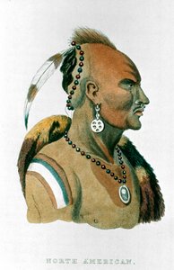 Sewessissing, Chief of the Iowa Indians