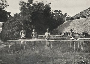 Sinhalese Cinnamon Workers at Work