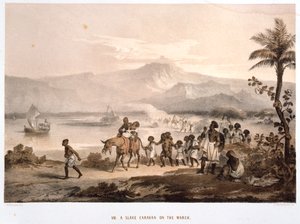 Slave Convoy on the March, 1852 by Unbekannt