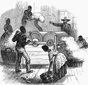 Slave Labour on a Cotton Plantation in the Southern States of America