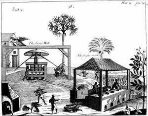 Slave Labour on a Sugar Plantation in the West Indies by Unbekannt