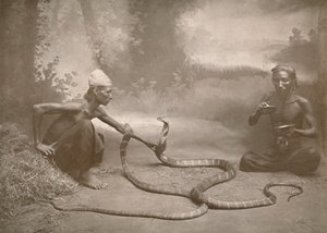 Snake Charmers with Hamadryads Kuy Cobras by Unbekannt
