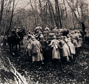 Soldiers in the Woods