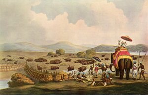 Sport in India - Driving Elephants Into A Keddah