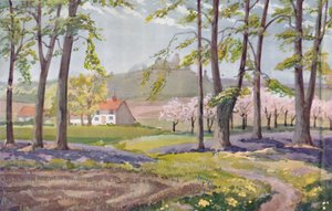 Spring - The Physical, Chemical and Biological Changes Wrought By The Sun During The Year by Unbekannt