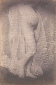 Standing Female Nude