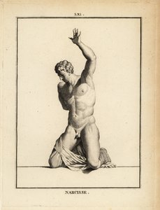 Statue of Narcissus by Unbekannt