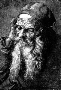 Study of an Old Man by Unbekannt