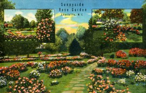 Sunnyside Rose Garden, Charlotte, N.C.