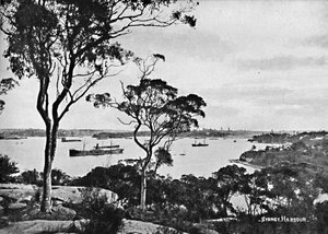 Sydney Harbour, from Cremorne Point by Unbekannt