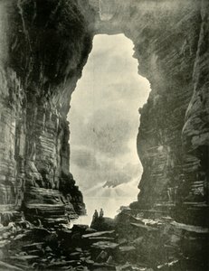 Tasman