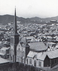 Te Aro, from Terrace, Wellington by Unbekannt