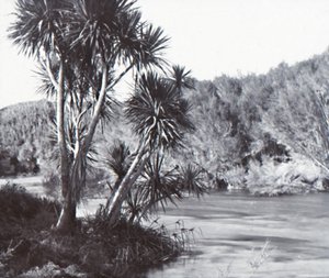 Te Waihou River, Okoroire, late 19th-early 20th century by Unbekannt