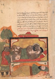 The Ascetic Witnesses the Woman Trying to Poison the Lover, Folio from a Kalila, 18th century by Unbekannt