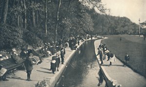 The Brook, Lower Gardens